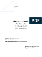 Zárótevékenység Napló Csenge PDF