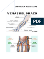 Venas para Puncion Mas Usadas