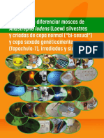 Manual para Diferenciar Moscas PDF