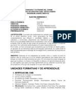 Contenido_Programatico_Seminario_cine_DISENO_.doc