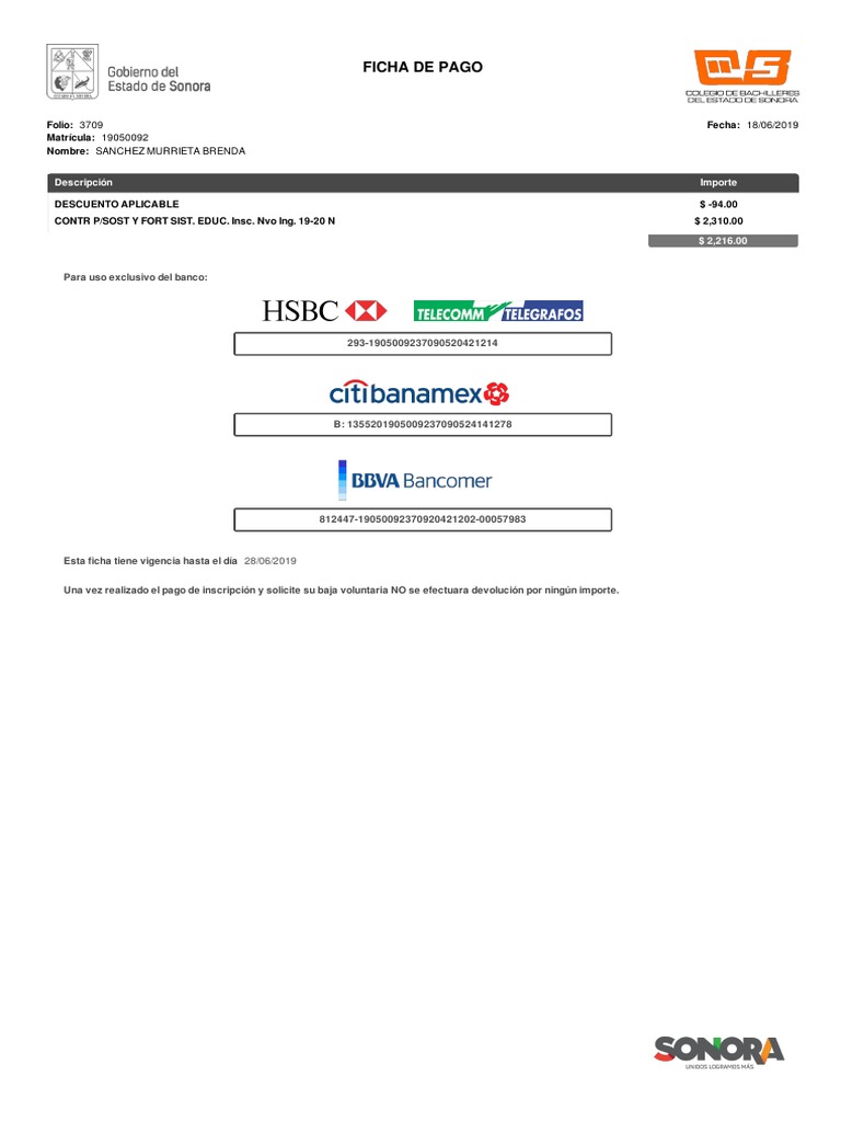 Ficha de Pago PDF | PDF
