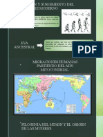 Paulo PDF