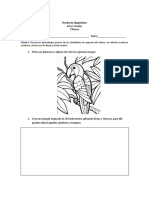 EVALUACION  DE DIAGNOSTICO ARTES VISUALES 2°