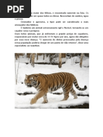 O tigre é o maior dos felinos