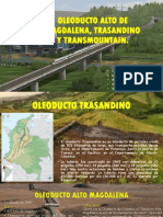 Oleoducto Alto de Magdalena, Trasandino y Transmountain