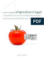 The Future of Agriculture in Egypt