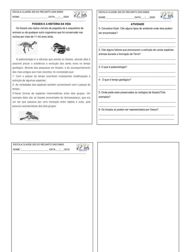 Atividade sobre Fósseis para 6º Ano | PDF | Fóssil | Paleontologia