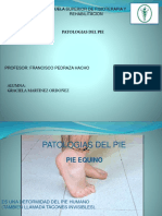 Patologias Del Pie