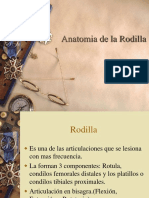 Anatomia de la Rodilla