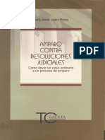 LIBRO AMPARO CONTRA RESOLUCIONES JUDICIALES.pdf