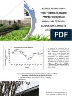 RECOMENDACIONES PARA EL VIVERO FORESTAL DEL RELLENO SANITARIO.pptx