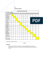 Cronograma de Auditoria