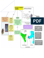 Proceso Psicologico Superior Memoria