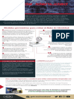 Robo de Identidad-2019