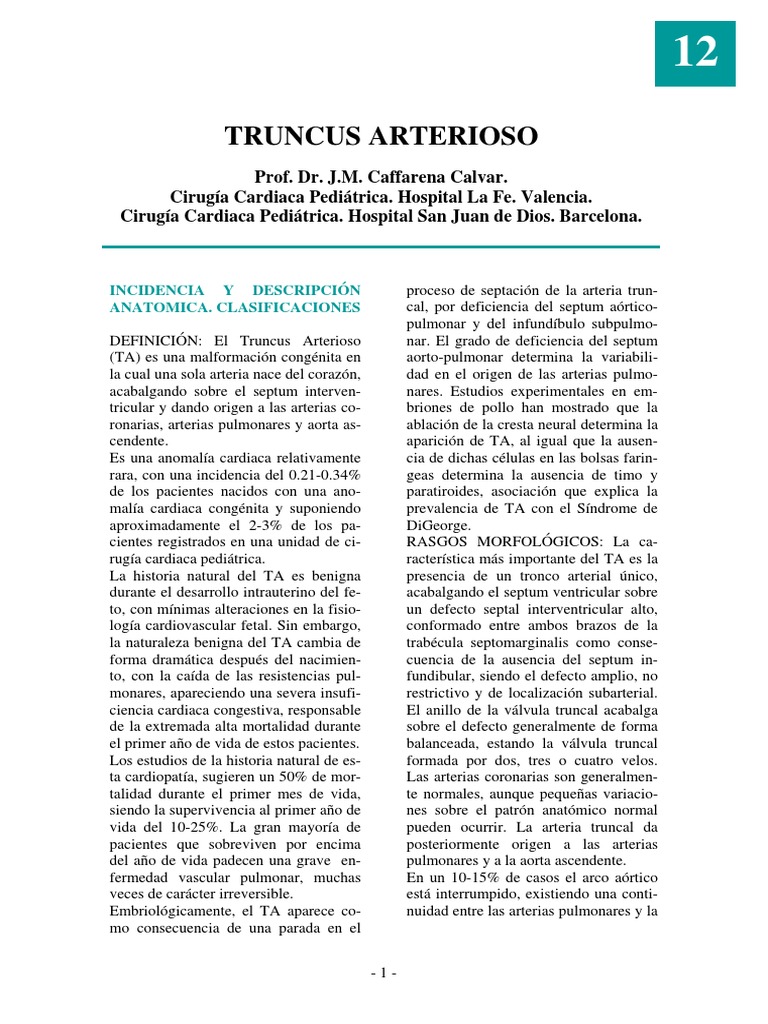 Clasificación del Truncus Arterioso | PDF | Aorta | Corazón