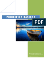icip-principios-basicos.pdf