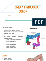 Anatomia y Fisiologia Colon