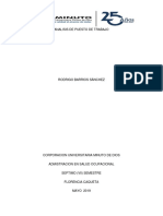 Analisis de Puesto de Trabajo PDF