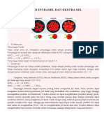 Buffer Intrasel Dan Ekstra Sel