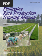NSIC Rc 222 Rice Variety Overview | PDF | Horticulture And Gardening ...