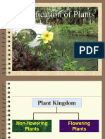 Classification of plants 2nd powerpoint