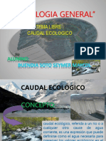 CAUDAL ECOLOGICO