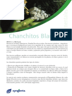 chanchos_blancos.pdf