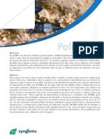 polillas.pdf