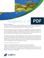 pulgones.pdf