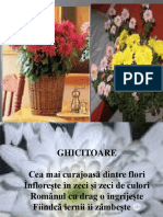 crizantema.ppt