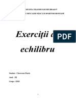 231820441-Exercitii-de-Echilibru-1-2.doc