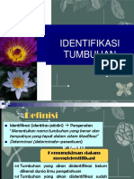 Identifikasi Tumbuhan