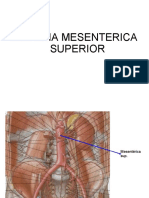 Arteria A Superior.