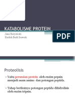 KATABOLISME PROTEIN