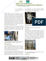 mastitis-part-4-detecting-and-treating-clinical-mastitis