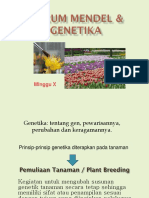 10 - Genetika