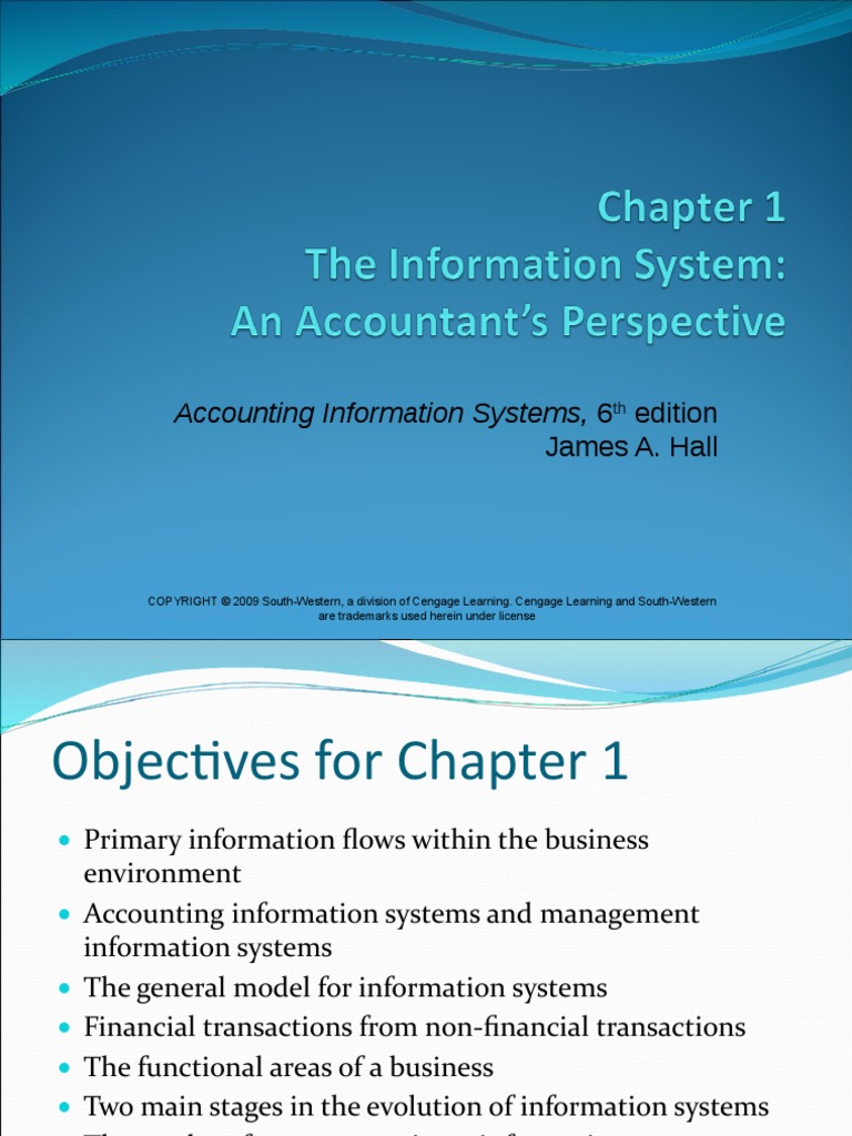 Accounting Information System Chapter 1 | PDF