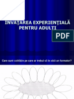 Invatarea Experentiala