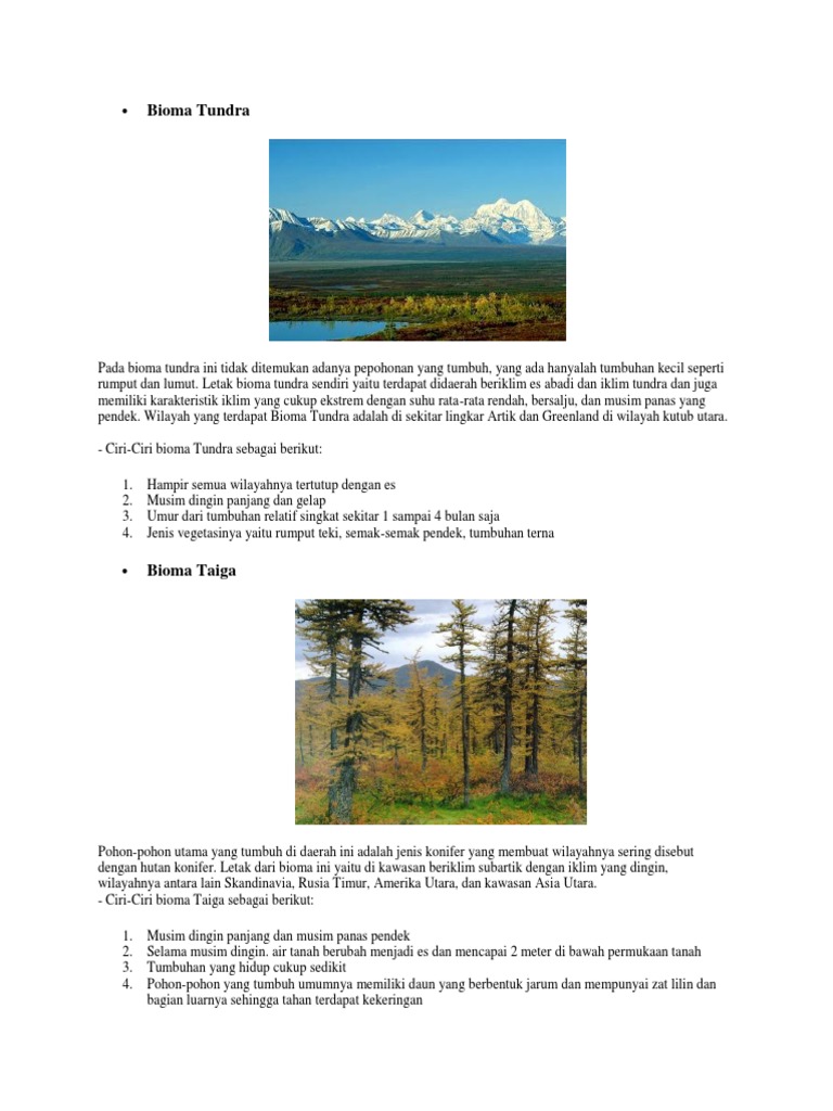 Bioma Tundra Pdf