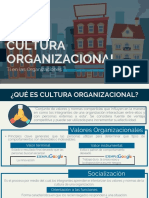 Cultura Organizacional