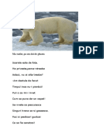 Poezie Ursul Polar