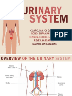 URINARYYY