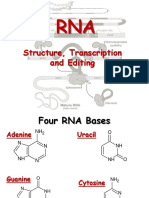 RNA.ppsx