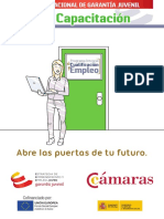 PICE - Guía del Plan de Capacitación.pdf