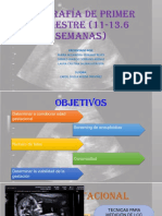 Ecografía de Primer Trimestre