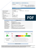 Modelo Informe Es PDF
