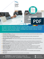 Informe Comercial Ficha PDF