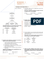 PDFFile PDF