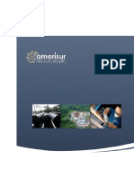Amerisur Resources PLC ® Formato de Requistos 27 PDF