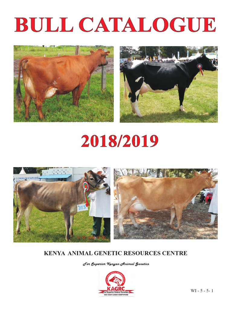 2018 19 Bull Catalogue